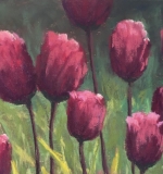 <i>Royal Tulips</i>