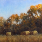 Western Slope Bales