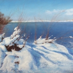 Snowy Shore