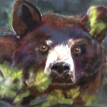 Macy_BlueBeary_cropped