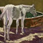 orr_grey-pain-filly-large