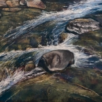 Mountain Runoff, 12x16