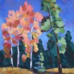 Tormoen_Mueller_State_Park_large