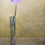 58578-flower_on_a_desert_dune-72120231346-107188