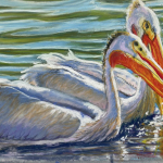 58578-pelican_pair-7292023756-108920