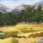 58578-rocky_mountain_meadow-8120231053-37942
