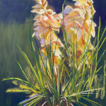 58578-sunset_glow_on_yucca-7172023101-107188