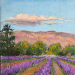 58726-lavendar_fields-8272024844-115006