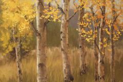 58875-aspen_ablaze-9320251928-31554 58875-aspen_ablaze-9320251928-31554