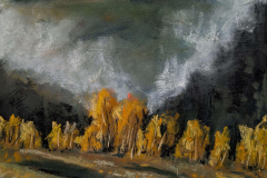 58875-cairngorms-8242025119-125737