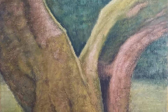 58875-emerald_haze-83120251318-25823