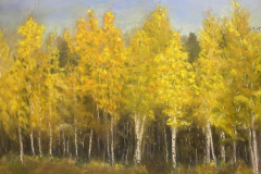 58875-golden_aspen-952025194-107188 58875-golden_aspen-952025194-107188