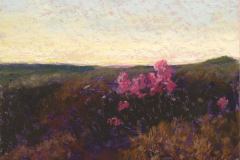 58875-last_bloom_of_fall-82620251445-127166 58875-last_bloom_of_fall-82620251445-127166