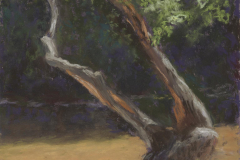 58875-lone_tree-82620251448-127166 58875-lone_tree-82620251448-127166