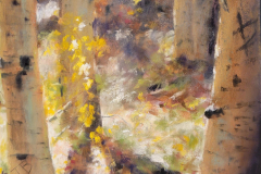 58875-radiant-8252025756-127113 58875-radiant-8252025756-127113