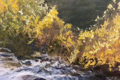 58875-rushing_river-81620251536-107188