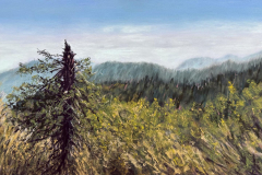 58875-we_sometimes_stand_alone-9420251824-50280 58875-we_sometimes_stand_alone-9420251824-50280