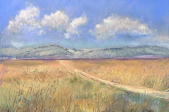 59011-Majestic-Fields-9920261057-59920