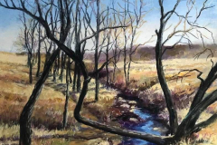 59011-bare_trees_at_bear_creek-982026132-61294