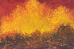 59011-devastating_mountain_fire-9820261430-114976
