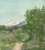 Wild Flowers Path
