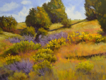 Foothills Garden