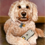 curell_marshas_granddog_600H