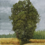 Rainy_day_in_the_PNW