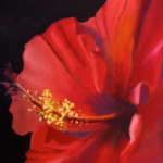 kort_todays_splendor_large