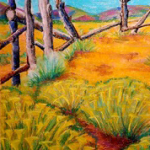 Prairie Blooms