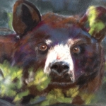 Macy_BlueBeary_cropped