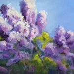 moores_lilacs_500H