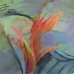 Pearson_StevesGift_750S