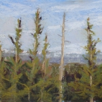 Sexton_Mary_LongCoolPines_Pastel