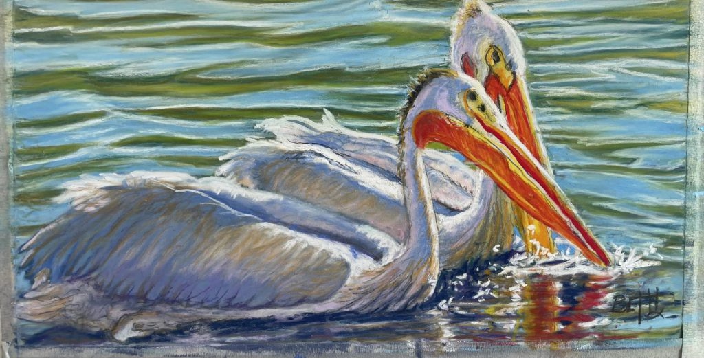 Pelican Pair