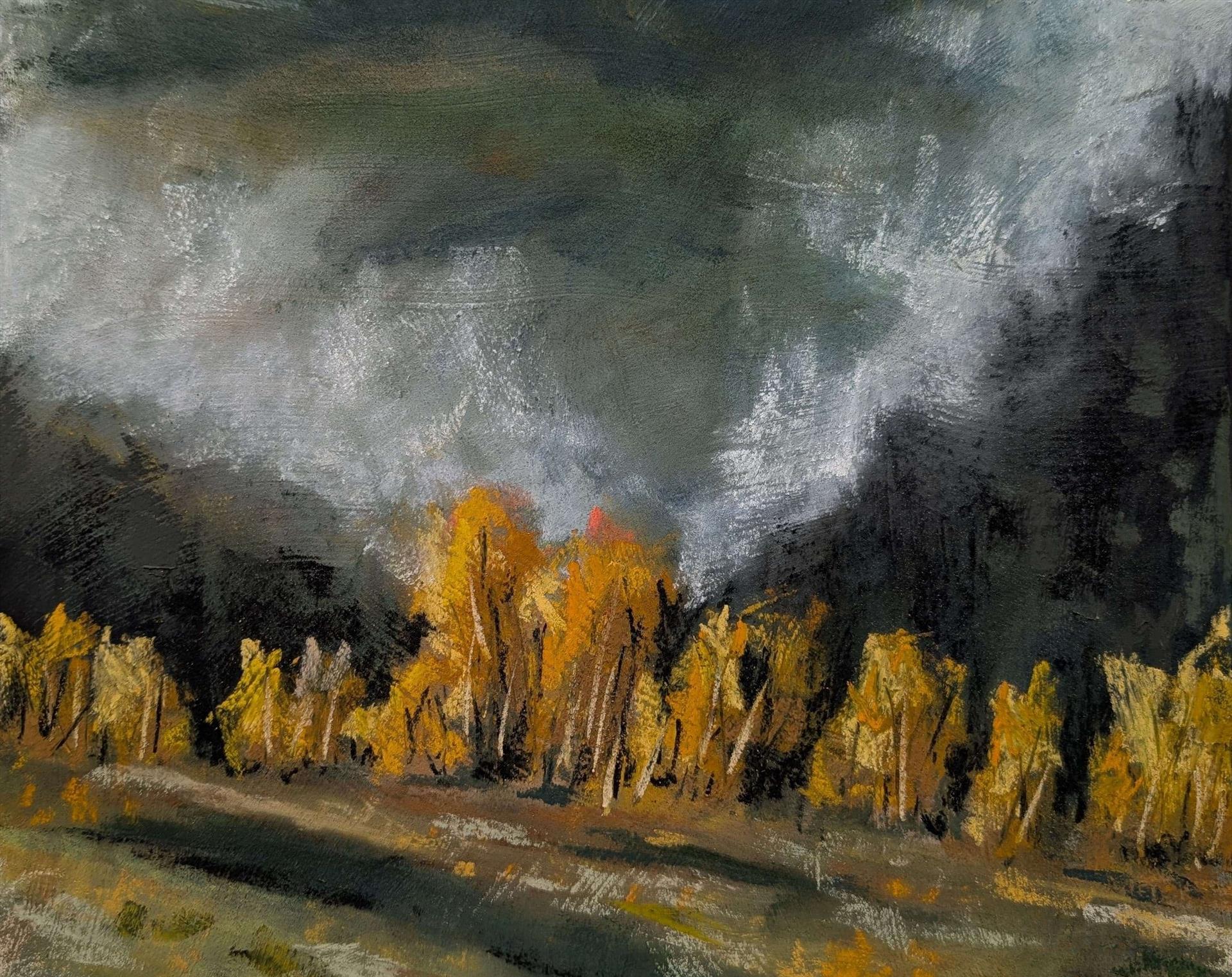 Patrick Harron: Cairngorms