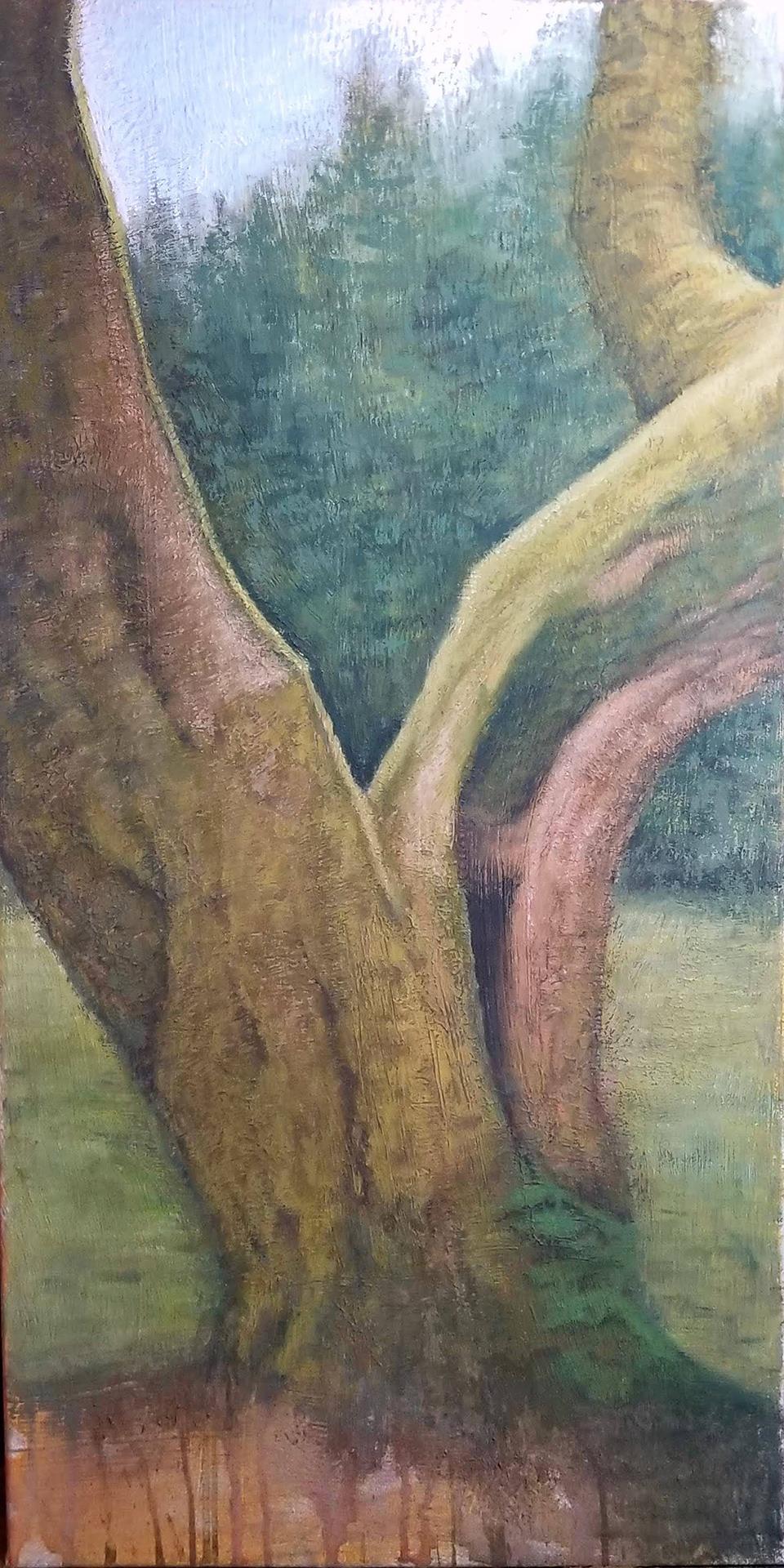 Chad Greene: Emerald Haze