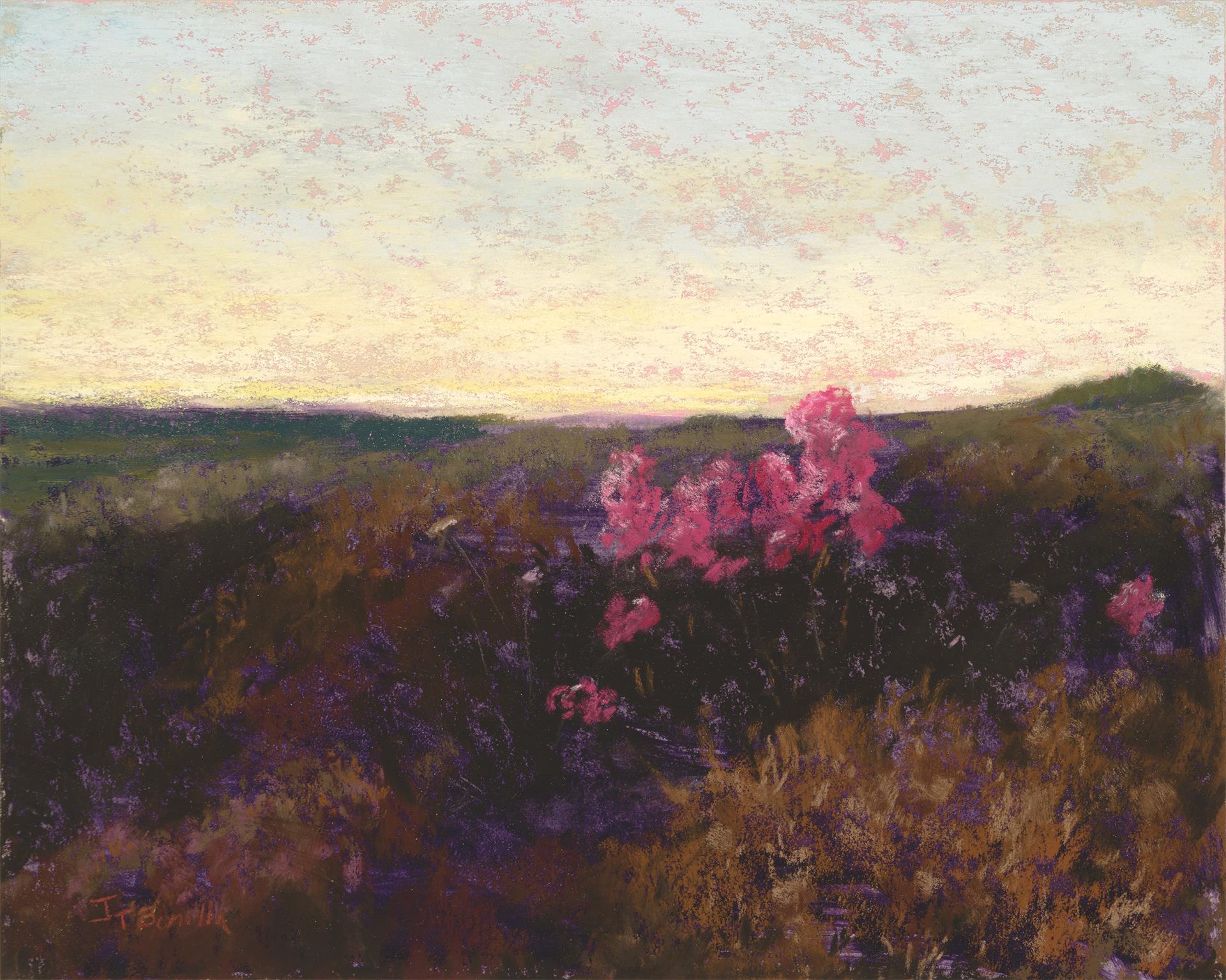 Joyce Bonilla: Last Bloom of Fall