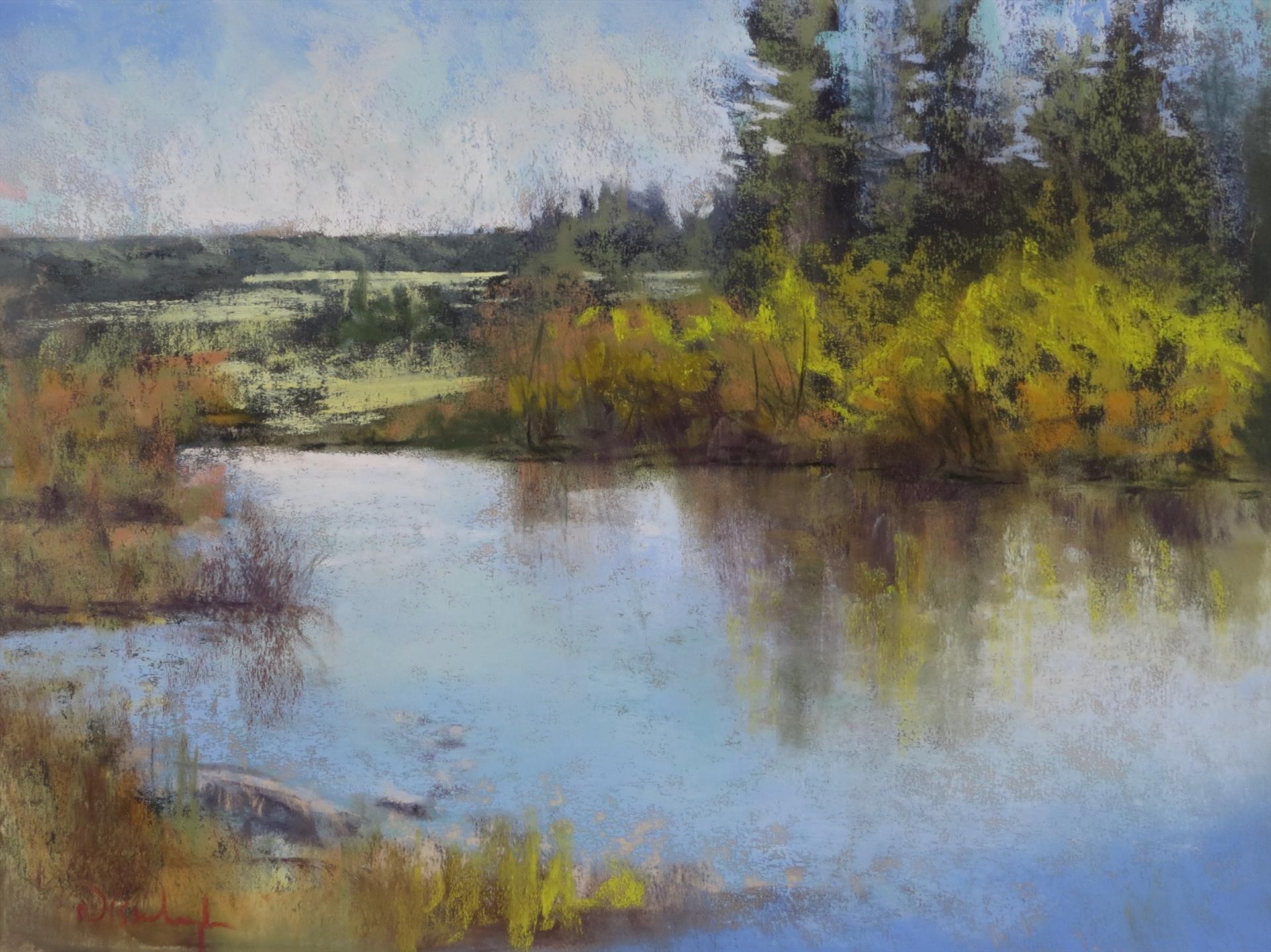 Dawn Buckingham: Mirror Lake