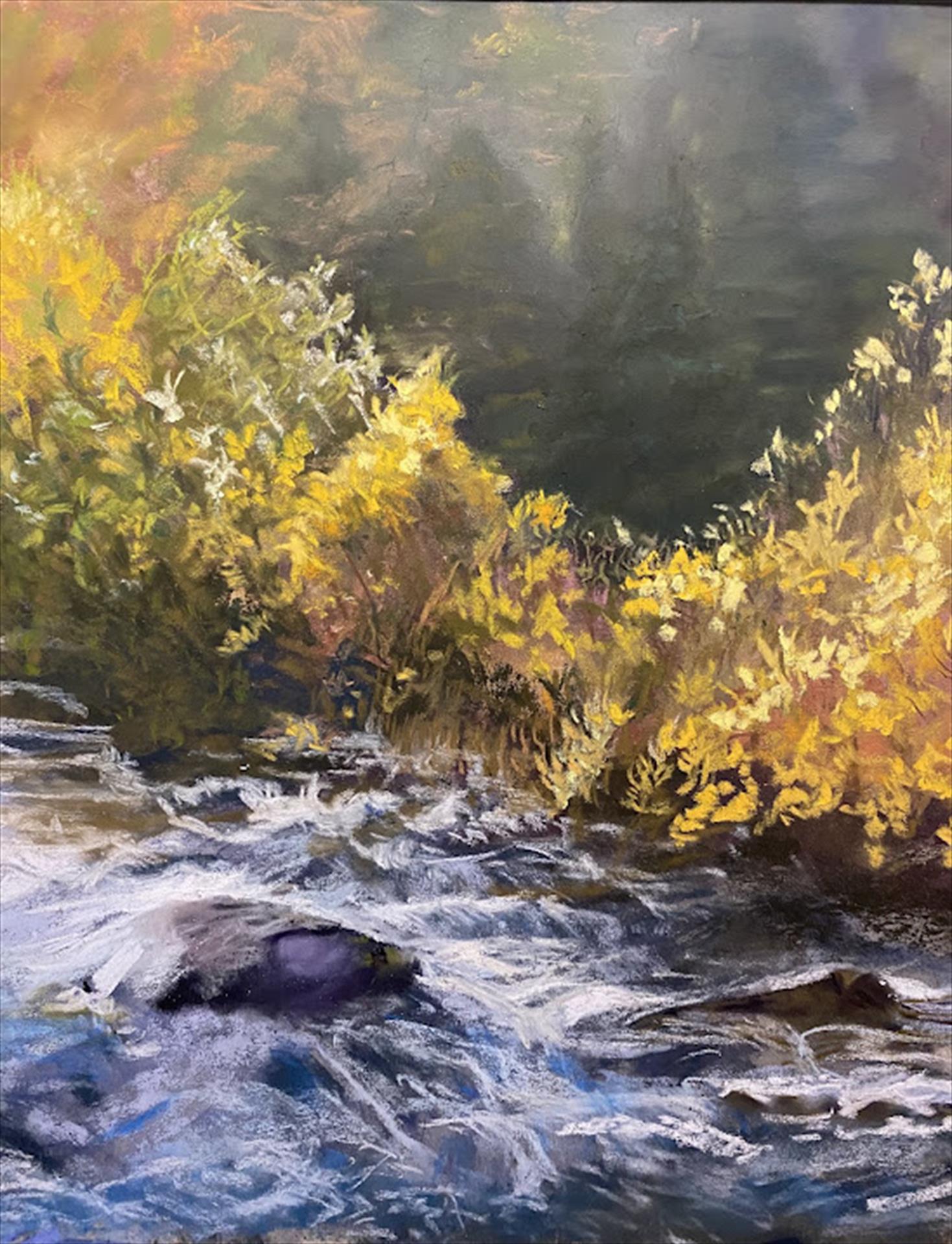 Joanne Behrens: Rushing River